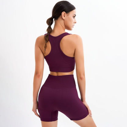 Seamless Gym Suit Bra & Shorts